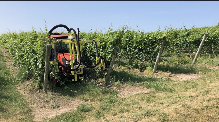 Image 4_Mechanical leaf remover